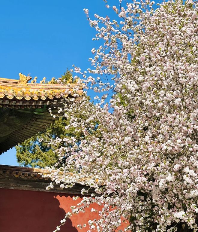 路线北京五一旅游五日游最佳去处攻略爱游戏