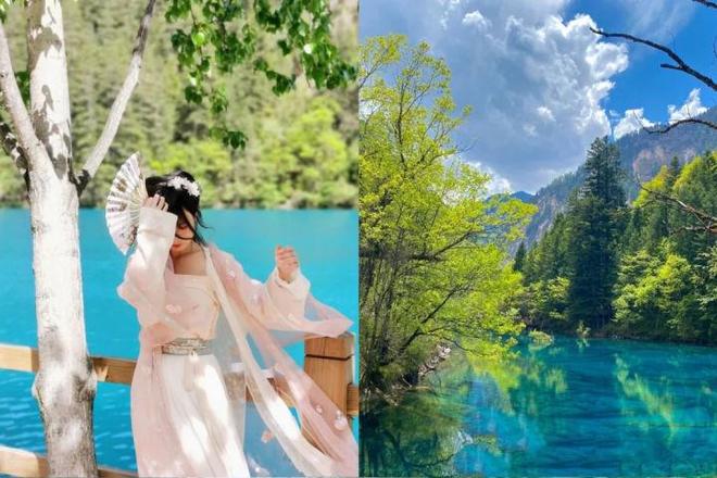 超佳方案报价及行程说明看完这篇都清楚了AYX爱游戏APP去四川当地报团7日游(图4)